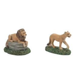 Zoological Gardens Lions st2